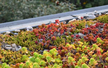 the cost of Cushendun green roof installation