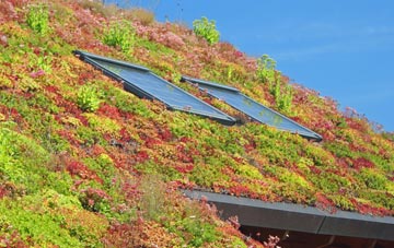 Cushendun living roof systems